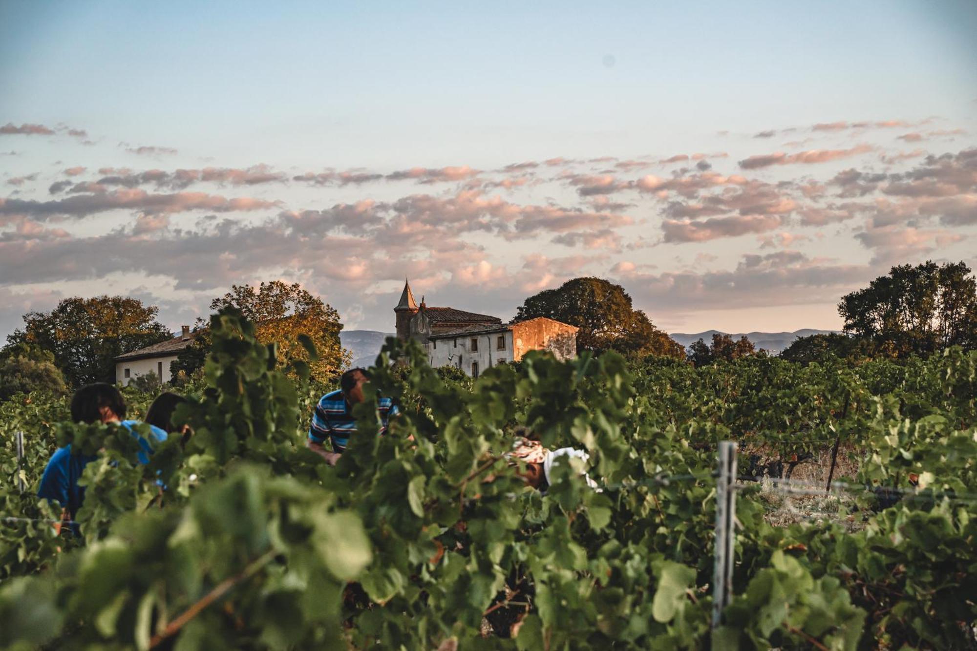 Domaine De Pelican Gignac  Εξωτερικό φωτογραφία