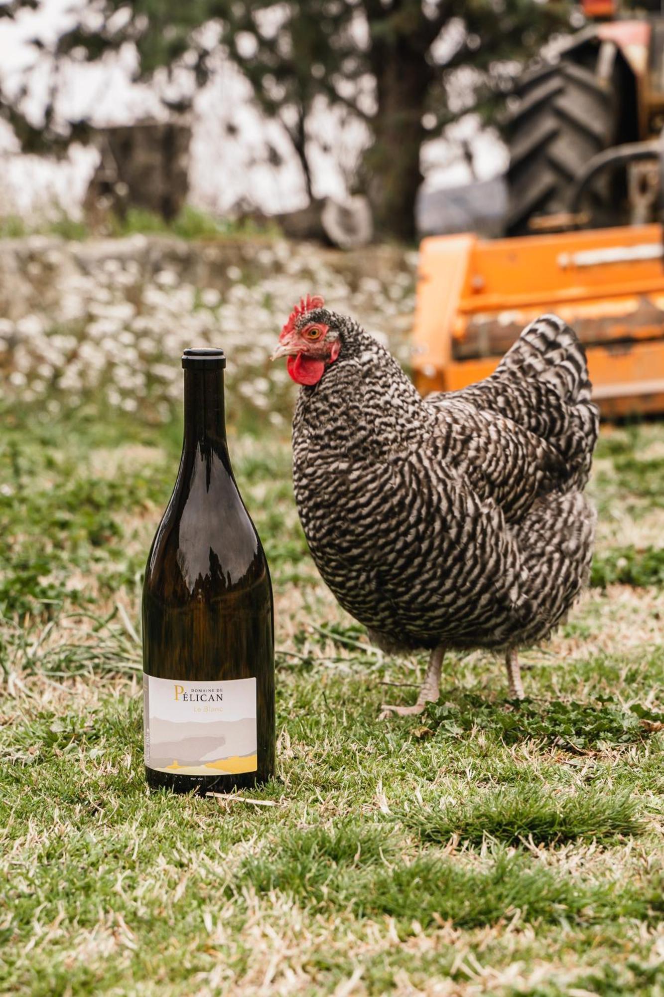 Domaine De Pelican Gignac  Εξωτερικό φωτογραφία
