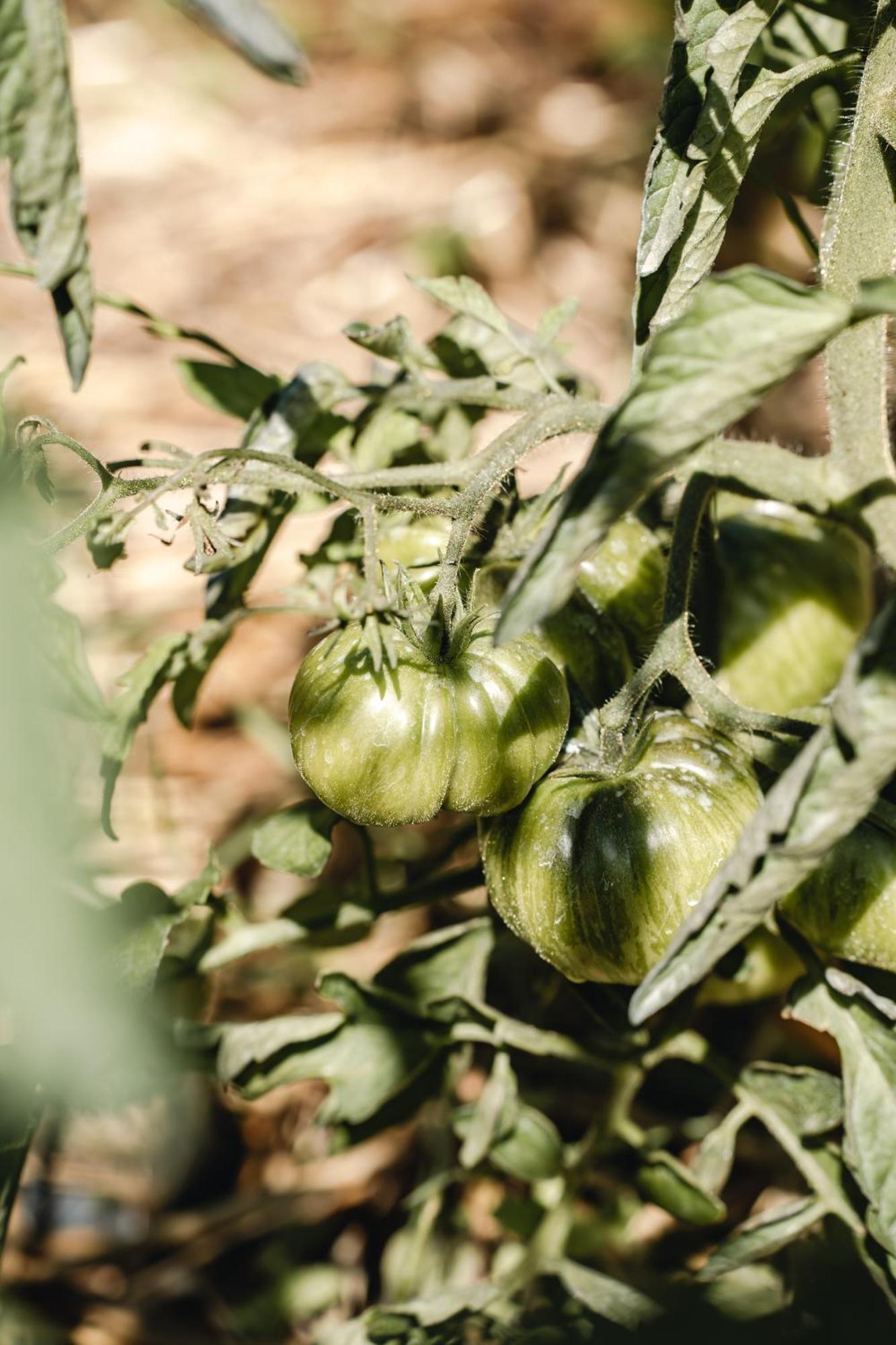 Domaine De Pelican Gignac  Εξωτερικό φωτογραφία